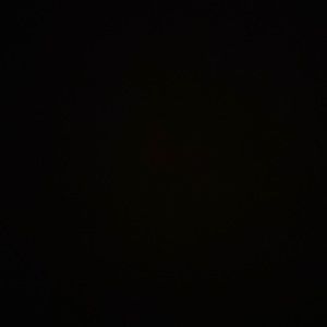 Meet your Posher, Diego